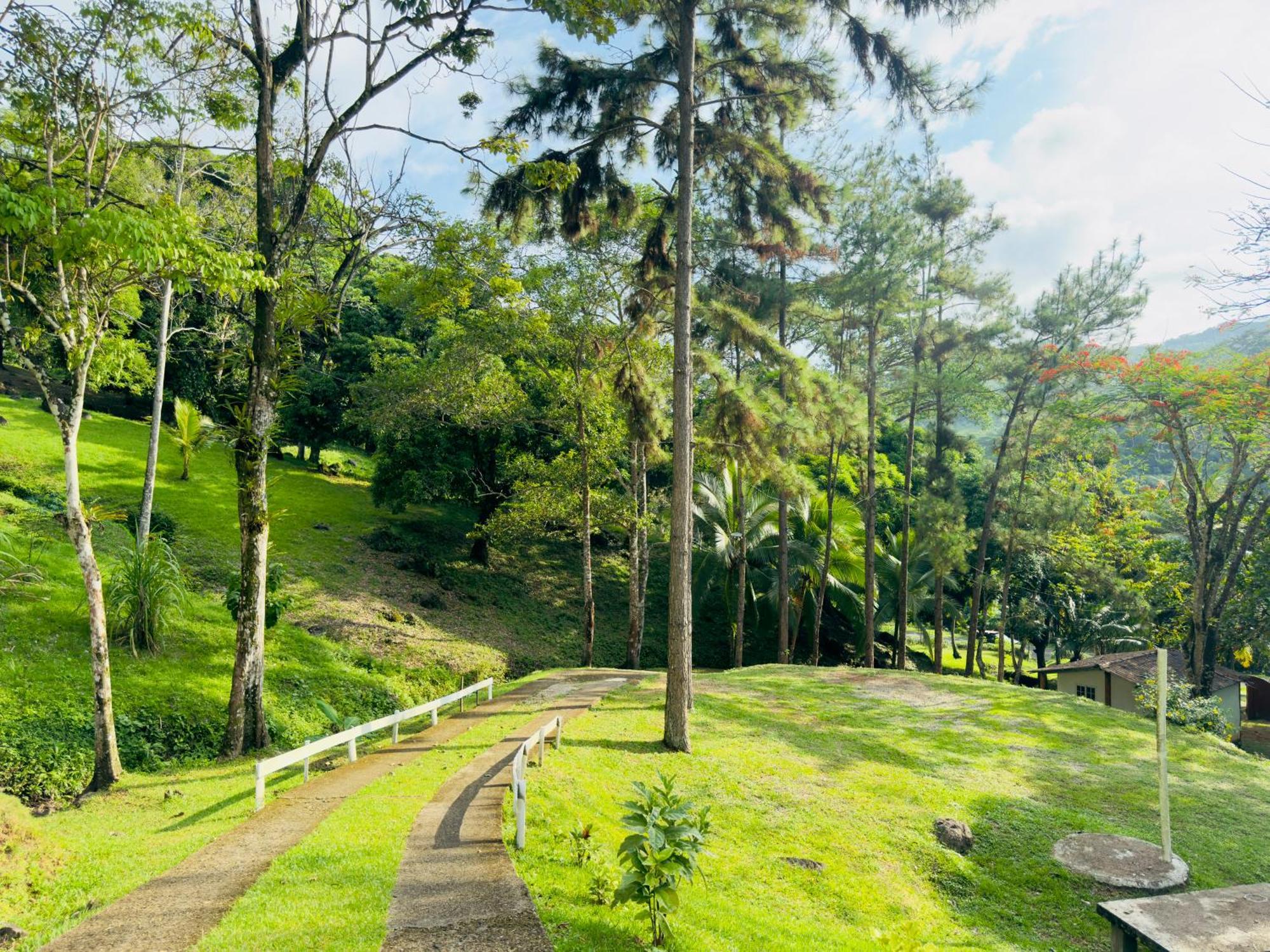 Ranchos De Chalia Panama Hotell Portobelo Exteriör bild